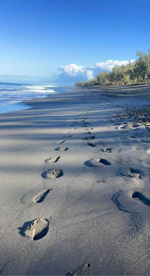 Location Saisonniere Meublee F2 St Leu Face Ocean A 1 Min Plage Lejlighed Saint-Leu Eksteriør billede